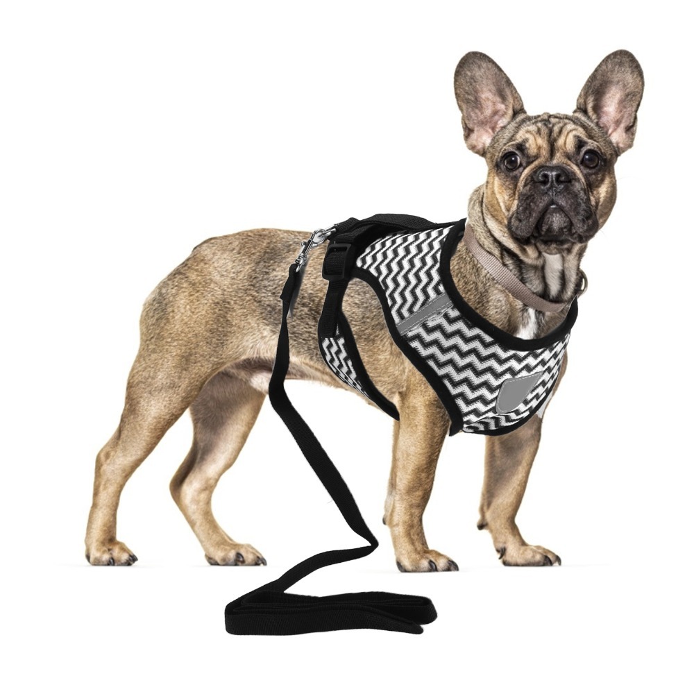 Fabric Weight Set - Set di Imbracature per Animali in